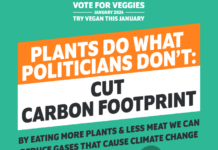 The Veganuary 2024 campaign kicks off helping people lose weight and get healthier