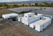 Kenya Nut Company Installs First Commercial On-Site Green Ammonia System for Carbon-Free Fertilizer Production