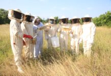 Icipe, Mastercard sign a five-year deal to support 1 million Ethiopian youth in beekeeping