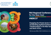 FAO and key private sector players outline roadmap to accelerate agrifood system transformation in NENA