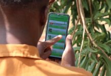 New forestry app empowering farmers to become more climate resilient