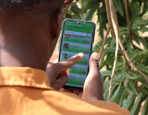 A farmer familiarising himself with the newly developed app. Photo – ICRAF (002)