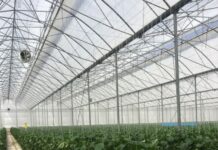 Warmer winters and more aggressive insects: Arrigoni’s Biorete® Air Plus screenpasses the tests for a perfect combination of protection, permeability to air and mechanical strength