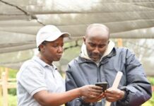 New initiative aims to bring 3 million farmers in Kenya, Tanzania and Nigeria into digital economy in five years