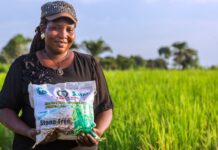 IFAD up effort to catalyse increased private sector investments in rural and agricultural development ahead of Davos