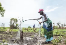 World Bank funded resilience farming projects uplift livelihoods of vulnerable communities in South Sudan
