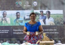 United States and African Development Bank forge stronger ties to boost food production