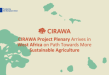CIRAWA Project Plenary Arrives in West Africa on Path Towards More Sustainable Agriculture, Climate Resilience