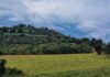 Youth inclusion in land reform is essential to drive real social and economic change