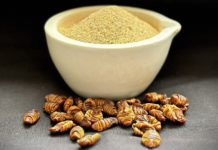 Solving Food Waste with Insects and the Circular Economy of Insect Farming