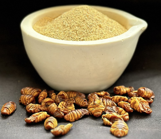 Solving Food Waste with Insects and the Circular Economy of Insect Farming