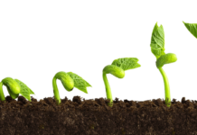 Role of biostimulants in bridging yield gaps and fostering farmers’ climate resilience