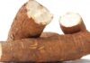 Tanzania aims at strengthening cassava farming through agricultural research partnerships