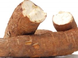 Tanzania aims at strengthening cassava farming through agricultural research partnerships