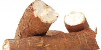 Tanzania aims at strengthening cassava farming through agricultural research partnerships