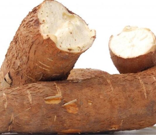 Tanzania aims at strengthening cassava farming through agricultural research partnerships