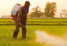 Glyphosate Market: Navigating the Future