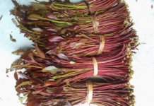 Kenya secures market for miraa (khat) farmers in Isreal