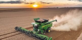 Who Will Share the Risk? Swartland Wheat Farmers Battle Climate Extremes