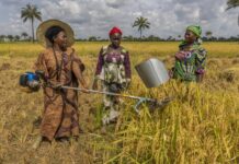 Investing in women and girls makes economic sense and accelerates progress for millions of people