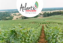 Atlantic fertilisers offers successful post-harvest fertilisation programmes