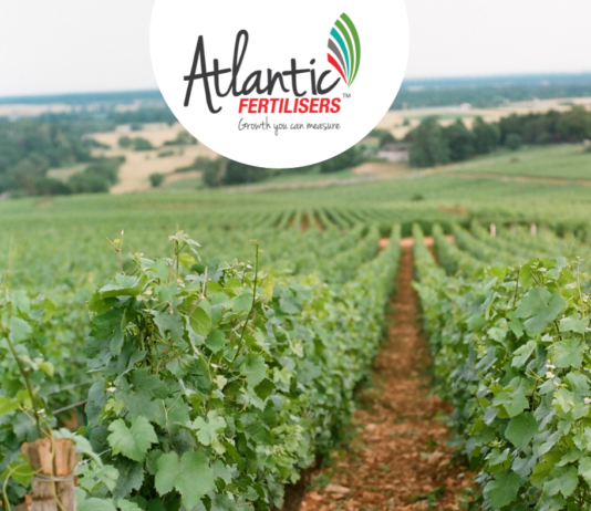 Atlantic fertilisers offers successful post-harvest fertilisation programmes