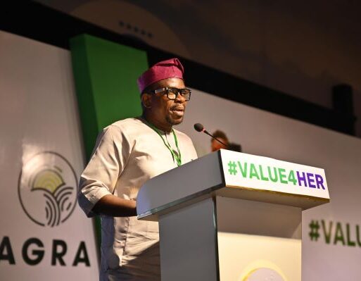 Azubike Nwokoye – Chairman of National Gender Steering Committee (002)