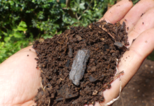 New study unveils low-cost technology aimed at scaling up biochar production for smallholder farmers
