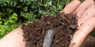 Ethiopian smallholder farmers earn first carbon payments from soil carbon certification scheme