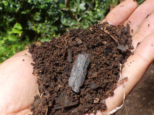 Ethiopian smallholder farmers earn first carbon payments from soil carbon certification scheme