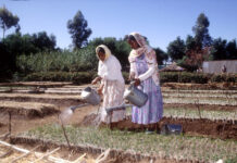 Striding for a sustainable change in the lives of vulnerable communities in Eritrea