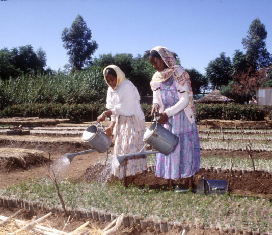 Striding for a sustainable change in the lives of vulnerable communities in Eritrea