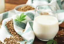 Future of Hemp Seed Milk: Plant-Based Nutrition