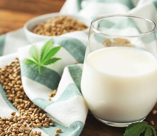 Future of Hemp Seed Milk: Plant-Based Nutrition