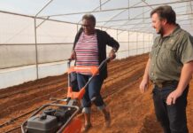 Sowing Sustainable Success