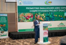 Rwanda launches $62.89 million project to boost smallholders’ agri-exports