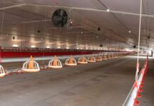 Department hands over 45,000-capacity broiler house to Matlosana-based poultry farmer