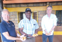 Hybrid potato breeding technology: potential solution to the newly detected Pepper ringspot virus in South Africa