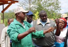 From corporate comfort to a green venture of raising fruit trees