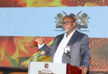 Controversy surrounds Kenya’s Fertiliser Subsidy Program amid allegations of fake products in the market