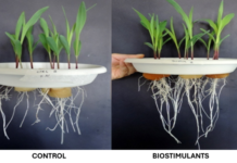 Promoting sustainable agriculture through advanced biostimulants : SICIT