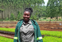 FAO Launches €15 Million EU-Funded Initiative to Enhance Sustainable Forestry in Uganda