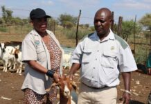 The Department of Agriculture and Rural Development brings a spark of hope to Mahikeng local Municipality residents