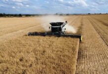 South African farmers need to adopt new approaches and technologies to combat the country’s food security pressures