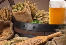 Future of Plant-Based Beverages: Trends, Opportunities, and Innovations