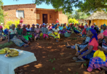 Stop Food Waste Day: Solidaridad stands in solidarity with Mozambique’s women in agriculture in combating global food waste crisis