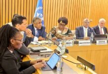 UN Zero hunger session calls for Agricultural Transformation from within.