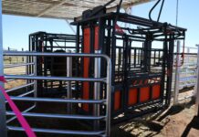 Department delivers smart herd trend and performance infrastructure for Boran stud farmer