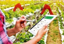 The digital agriculture industry has evolved through hyperconnectivity and cloud computing