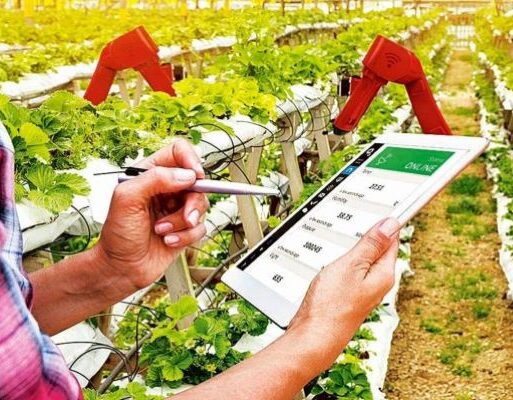 digital agriculture